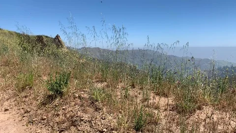 Sunny Malibu Landscape Vídeos de archivo 106965584