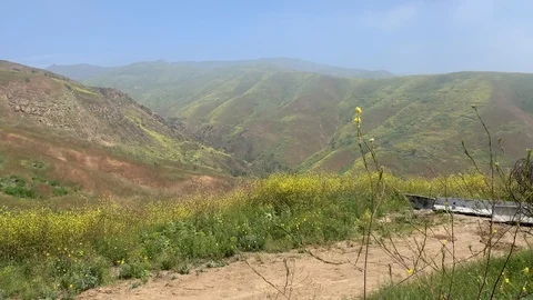 Sunny Malibu Landscape Stock Footage 106965645