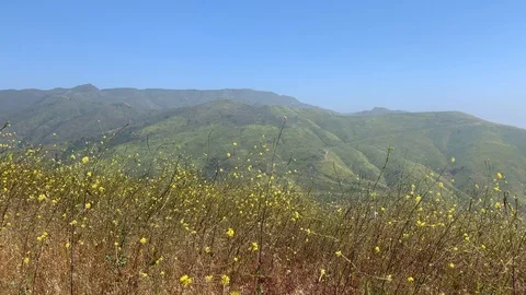 Sunny Malibu Landscape Vídeos de archivo 106965648