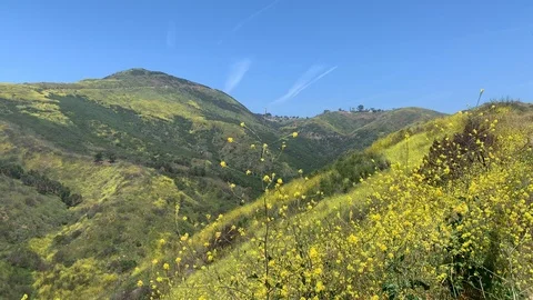 Sunny Malibu Landscape Vídeos de archivo 106965668