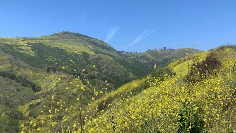 Sunny Malibu Landscape Stock Footage 106965676