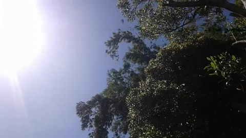 Sunny morning Stock Footage 212222575