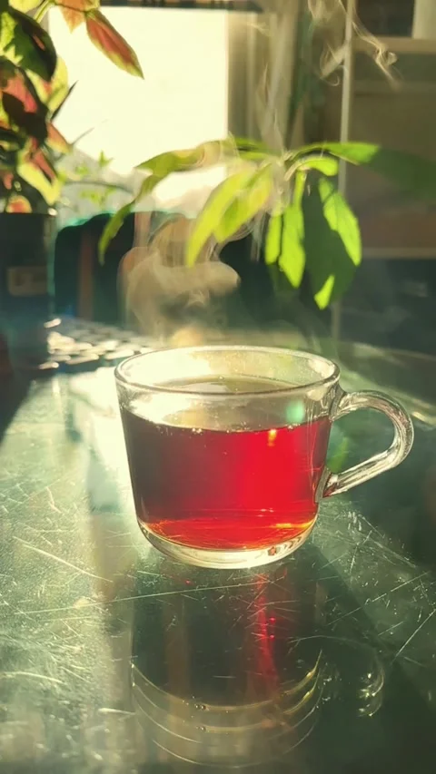 Sunny Morning Tea by the Window  Slow Living Ambient Loop Video stock 337086310