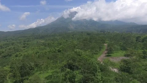 Sunny mountain Video stock 244649409