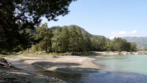 Sunny Mountain River Landscape with Forest Stock Footage 315903295