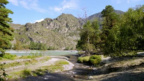 Sunny Mountain River Landscape with Forest Stock Footage 315903537