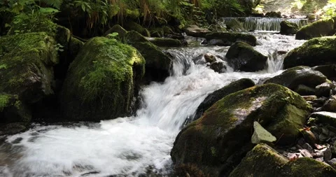 Sunny mountain rocky stream Stock Footage 231901736