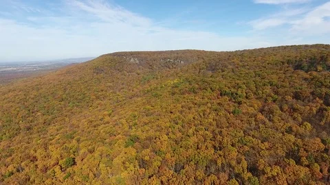Sunny Mountain Side Fall Trees Drone 4k Stock Footage