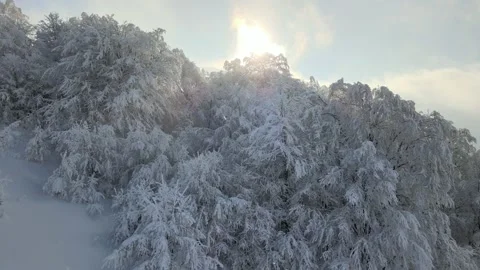 Sunny mountain top rays of light. Snow flakes. Crisp winter day. Snowfall on a Stock Footage 148112958