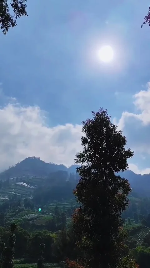 Sunny Mountain Valley Landscape Video stock 341628984