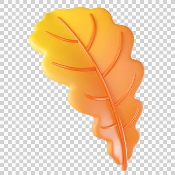 Sunny oak leaf 库存插图