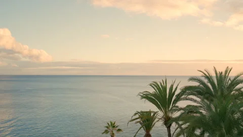 Sunny Ocean View With Palm Trees and Blue Sky Stock Footage 327391069