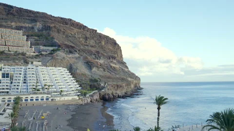 Sunny Ocean View With Palm Trees and Blue Sky Stock-Footage 327391089