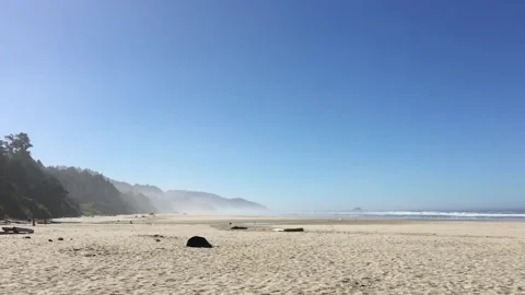 Sunny Oregon beach Stock Footage 202187161