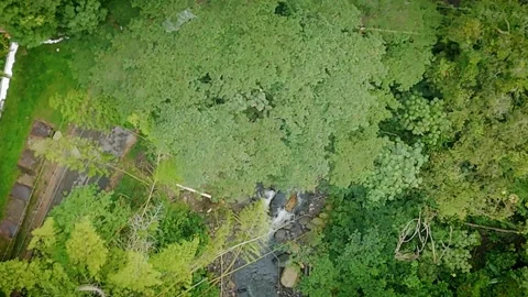 Sunny Overlook of Forest Canopy, Cascading Creek and Rural Bridge Stock Footage 316794598