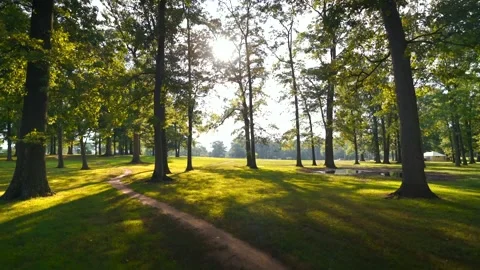 Sunny Park Stock Footage 171638925