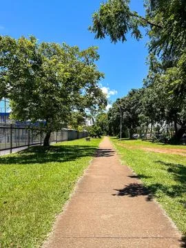 Sunny Park Path with Trees Stock Photos