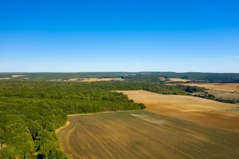 Sunny patchwork of fields and woodland hills 스톡 사진
