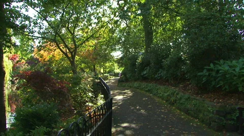 Sunny path 1080i Video stock 311533