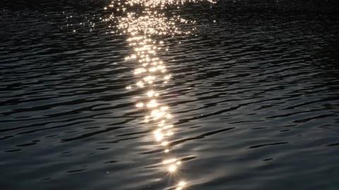 Sunny path on dark water Stock Footage 153285824