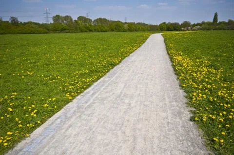 Sunny Path Stock Photos
