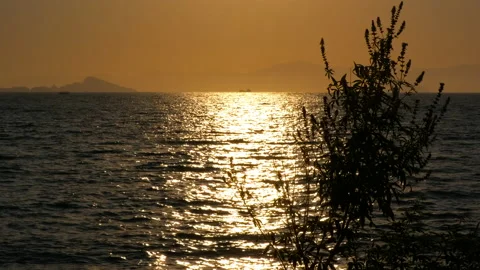 Sunny path of the setting sun on the sea. Stock Footage 231644292