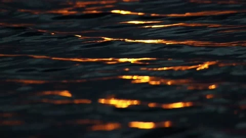 Sunny path on the surface of the lake at dawn Stock Footage 201917600