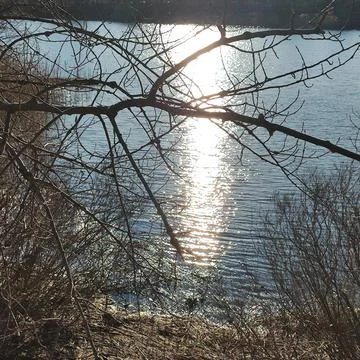 Sunny path on the water. reflection of the sun in the water. small waves on.. Stock Photos