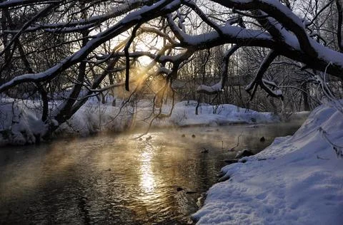 Sunny path on the winter river Stock Photos