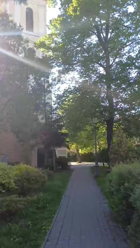 Sunny Pathway Lush Green Park in Poland Park Walkway Stock Footage 308198348