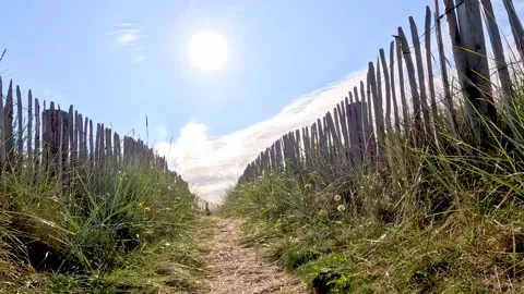 Sunny Pathway Through Sand Dunes to Scottish Seaside 库存影片 320516749