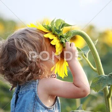Sunny Stock Photos