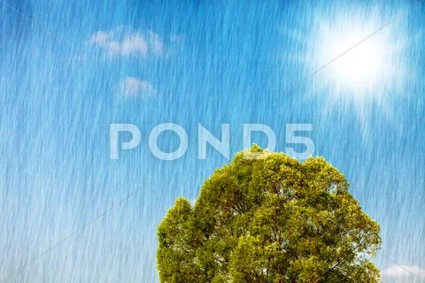 Sunny Stock Photos