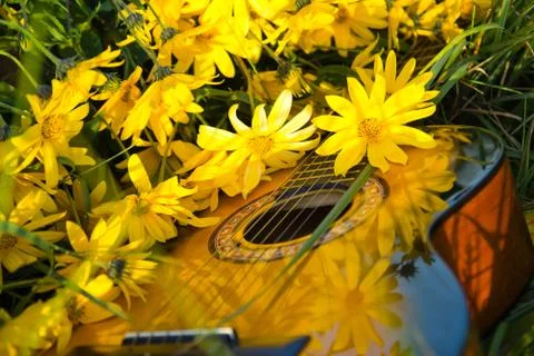 Sunny photo of acoustic guitar and white - yellow flowers Stock Photos