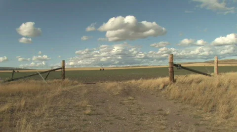 Sunny Plain Gate View Stock Footage 270362
