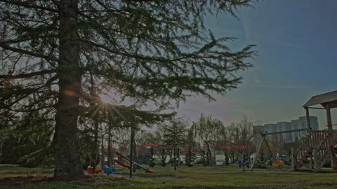 Sunny Playground Time Lapse with Sun Rays Through Pine Trees - 4K Stock Footage 324906597