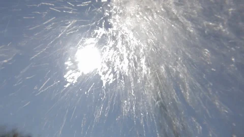 Sunny pool Stock Footage 100664710