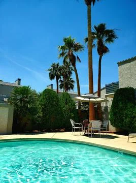 Sunny pool with palm trees Foto stock