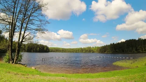 Sunny pristine tranquil Lithuania nature Geluva lake landscape zoom in view t Stock Footage 155238696