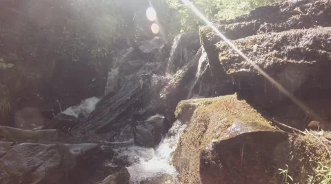 Sunny Ray Falls on Mountainous River Rapids With Fallen Trees Stock Footage 66578678