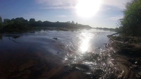 Sunny River LOOP 스톡 동영상 93858113