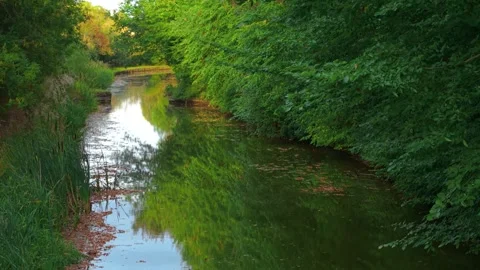 Sunny river reflecting bright greenery and soft autumn colors on surface. River Stock Footage 317082811