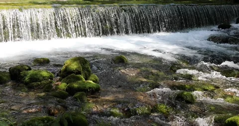 Sunny river with waterfalls Vídeos de archivo 231901356