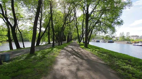 Sunny road Vídeo Stock 35510734