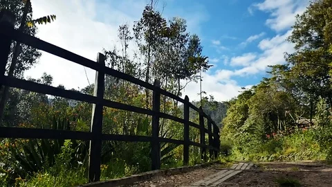 Sunny road Stock Footage 75273298