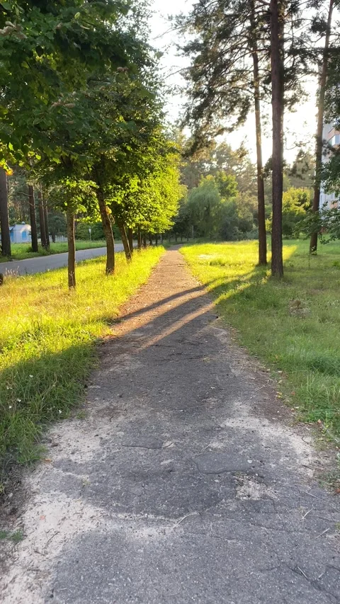 Sunny Road. Vertical video Stock Footage 281176858