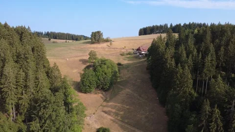 Sunny Rural Landscape with Fields, Roads and Green Hills from Above Stock Footage 340584639