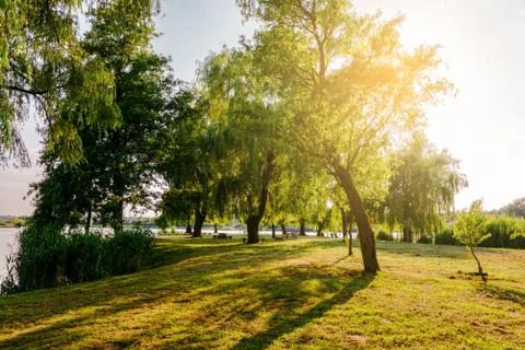 Sunny scene Stock Photos
