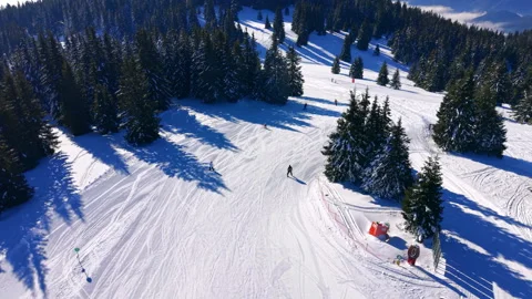 Sunny ski slope through pine woods, Pamporovo, Bulgaria Video stock 348018363