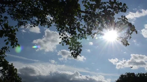 Sunny sky Stock Footage 42852159